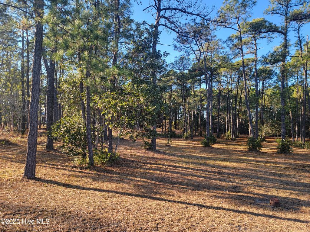 Photo of 6727 Dunlowe Notch SW, Ocean Isle Beach, NC 28469 (MLS # 100545021)
