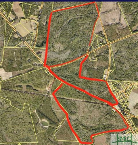 Vacant Land For Sale - 001 67 Highway<br/> Pembroke, GA 31321