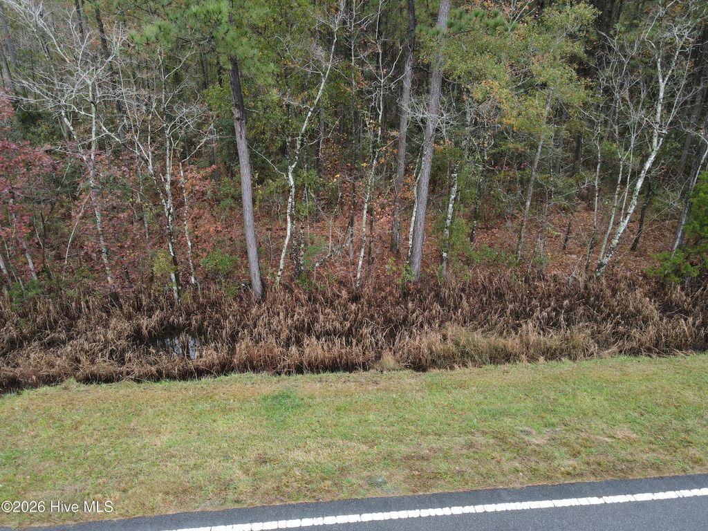 Photo of 0 Nc-304, Bayboro, NC 28515 (MLS # 100552853)