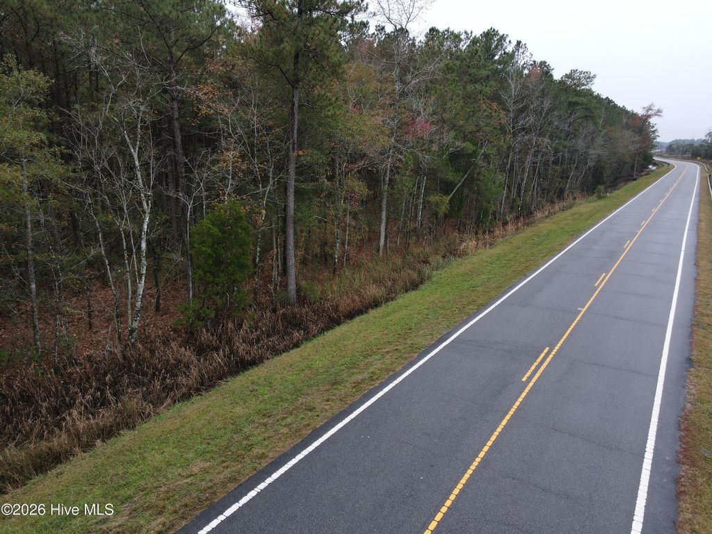 Photo of 0 Nc-304, Bayboro, NC 28515 (MLS # 100552853)