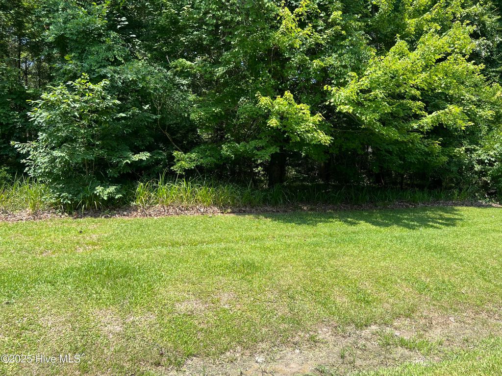 Photo of 62 Deep Creek Shore, Hertford, NC 27944 (MLS # 100515300)