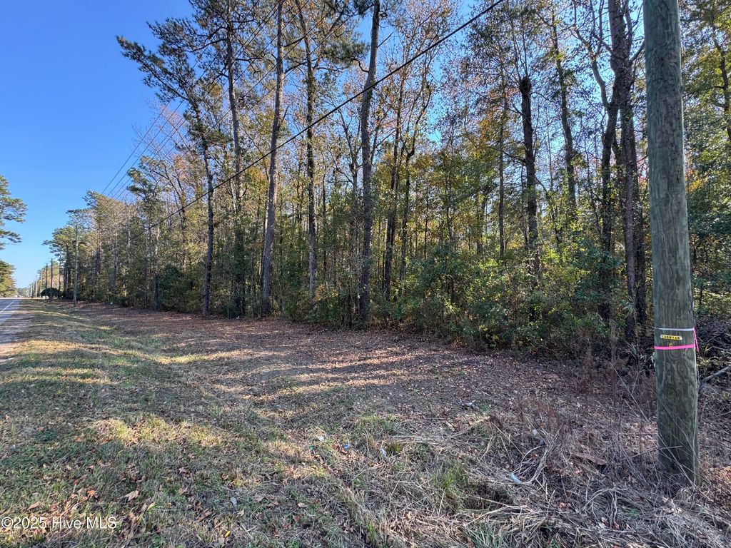 Photo of 715 Nc Hwy 133, Rocky Point, NC 28457 (MLS # 100544505)
