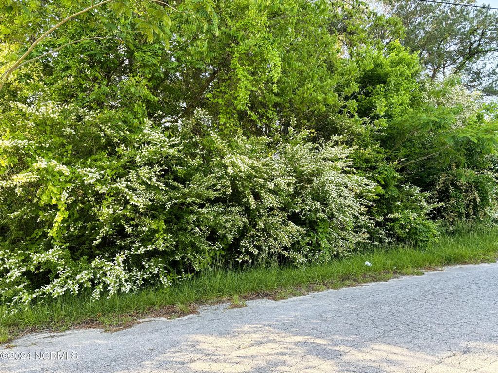 Photo of 200 Regalwood Drive, Jacksonville, NC 28546 (MLS # 100440416)