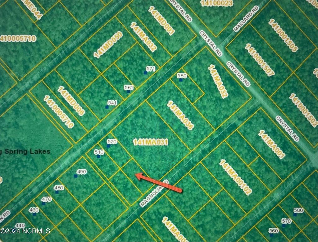 Photo of 323 Magnolia Road Road, Boiling Spring Lakes, NC 28461 (MLS # 100544495)