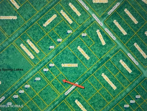 Tiny photo for 323 Magnolia Road Road, Boiling Spring Lakes, NC 28461 (MLS # 100544495)