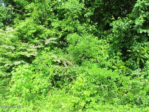 Vacant Land For Sale - Airport Road<br/> Garland, NC 28441