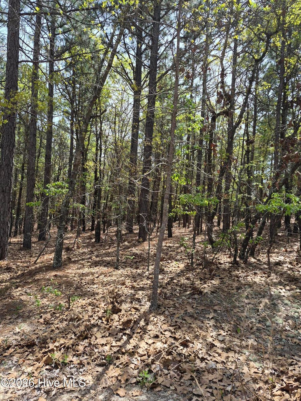 Photo of 4 Brassie Lane, Foxfire Village, NC 27281 (MLS # 100569268)