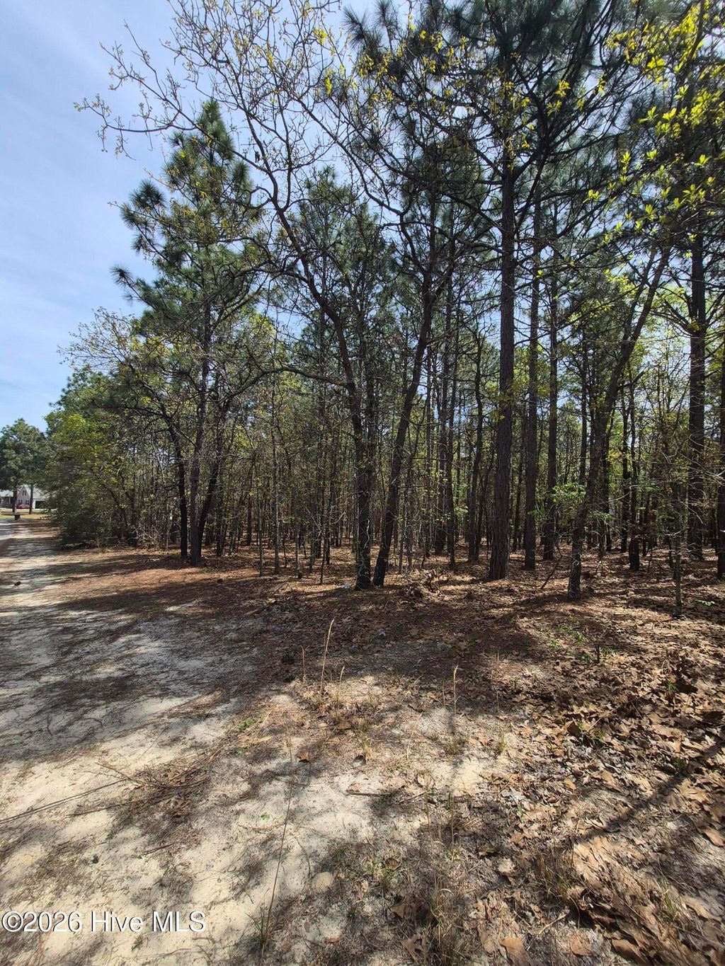Photo of 4 Brassie Lane, Foxfire Village, NC 27281 (MLS # 100569268)