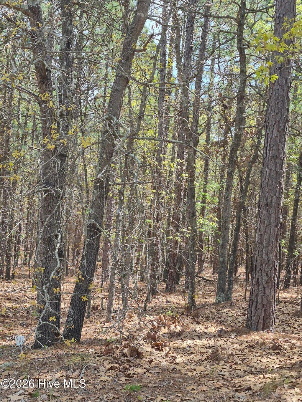 Photo of 4 Brassie Lane, Foxfire Village, NC 27281 (MLS # 100569268)