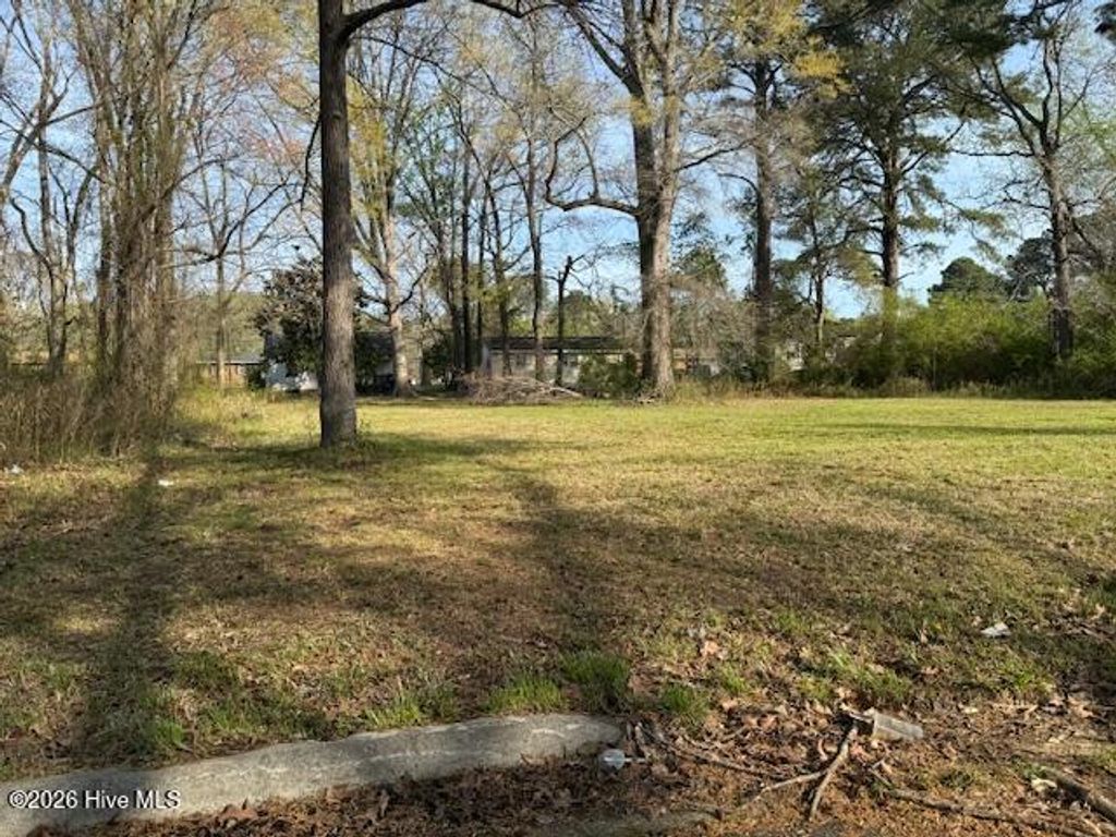 Photo of Tbd Hill Street, Ahoskie, NC 27910 (MLS # 100564205)