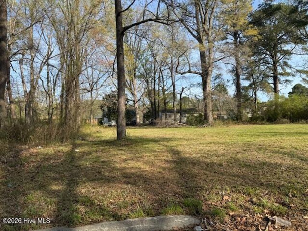 Photo of Tbd Hill Street, Ahoskie, NC 27910 (MLS # 100564205)