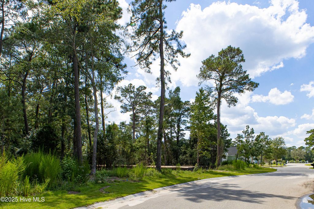 Photo of 6077 Ocean Isle Palms Way SW, Shallotte, NC 28470 (MLS # 100525584)