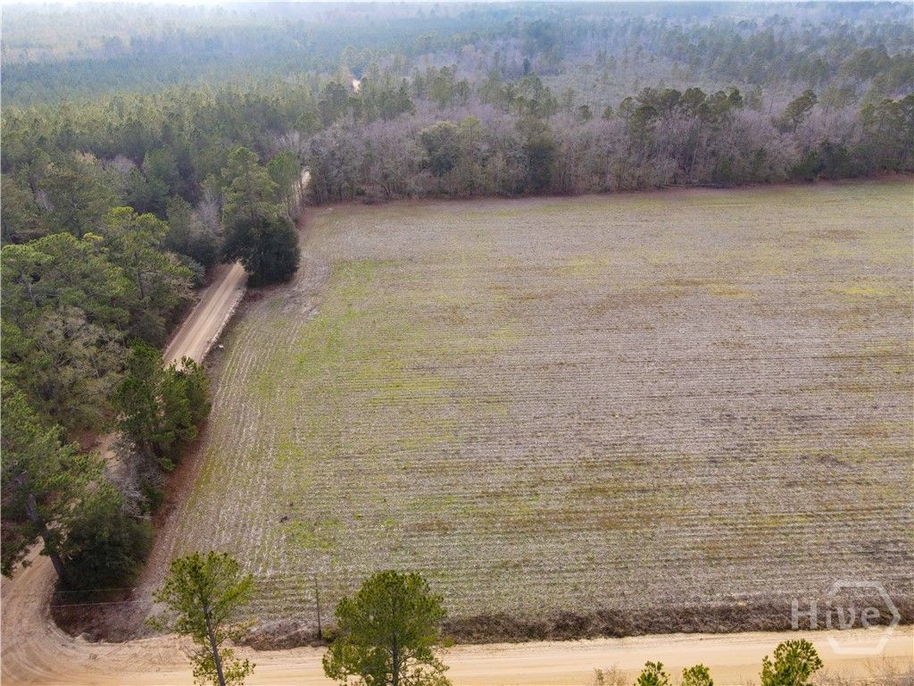 Photo of 0 Floyd Road #Lot 7, Pembroke, GA 31321 (MLS # SA346332)