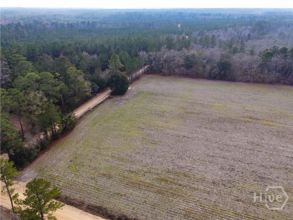 Photo of 0 Floyd Road #Lot 7, Pembroke, GA 31321 (MLS # SA346332)