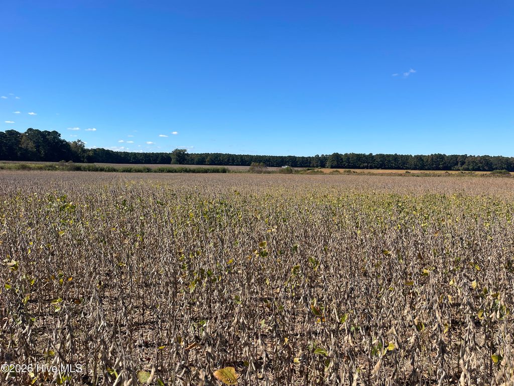 Photo of 00 Southwood Road, Kinston, NC 28501 (MLS # 100549489)