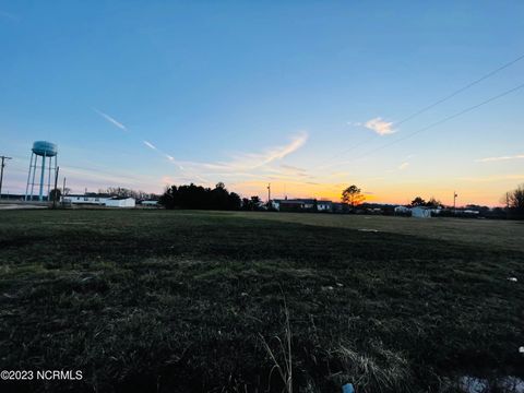 Vacant Land For Sale - 15 & 15A Brooks Road<br/> Halifax County, Scotland Neck, NC 27874