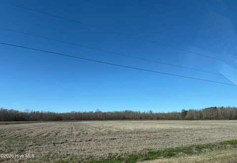 Vacant Land For Sale - LOT 25 Beasley Road<br/> Washington County, Roper, NC 27970