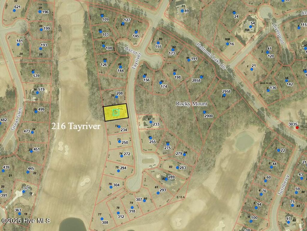 Photo of 216 Tayriver, Rocky Mount, NC 27804 (MLS # 100490491)