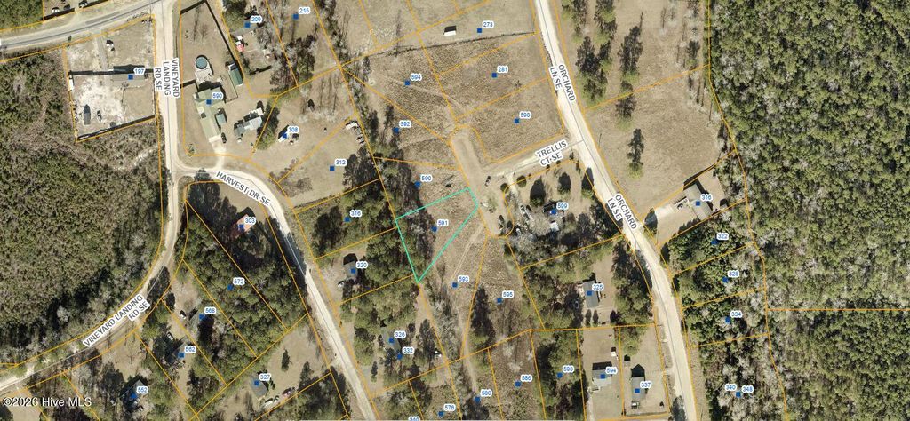 Photo of 590591 Trellis Court SE, Bolivia, NC 28422 (MLS # 100551748)