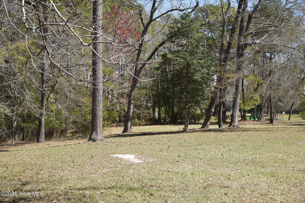 Photo of 246 Genoes Point Road SW, Supply, NC 28462 (MLS # 100564752)