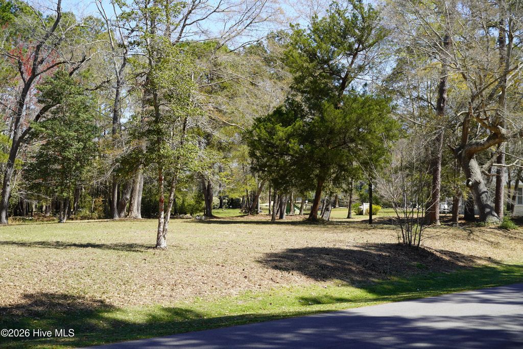 Photo of 246 Genoes Point Road SW, Supply, NC 28462 (MLS # 100564752)