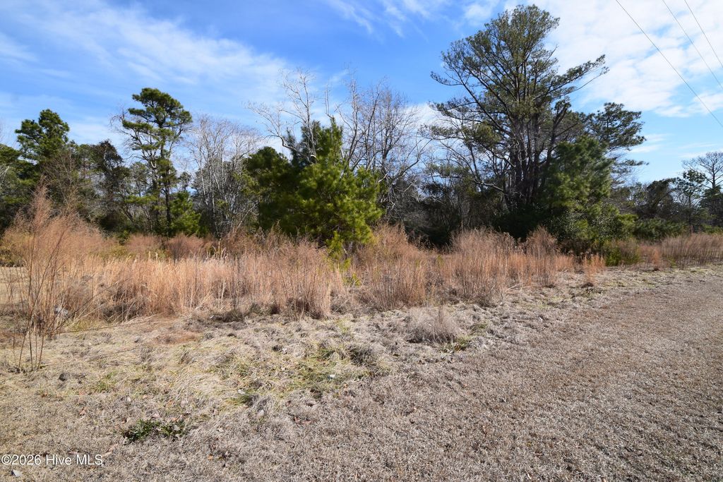 Photo of 1616 Caracara Drive, New Bern, NC 28560 (MLS # 100554532)