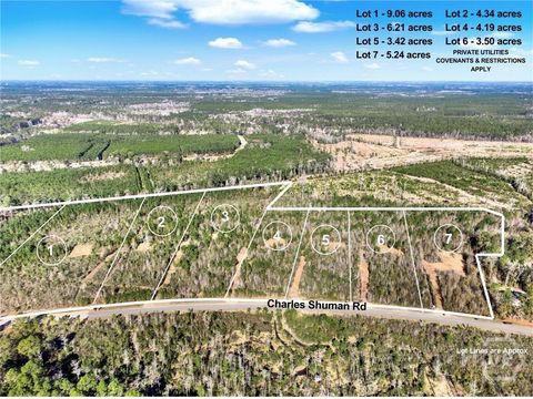 Vacant Land For Sale - LOT 2 Charles Shuman Road<br/> Pembroke, GA 31321