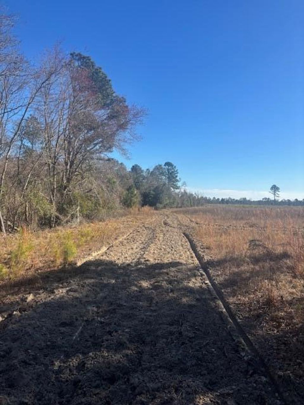 Photo of 0 Starfish Lane, Lyons, GA 30436 (MLS # 551648)