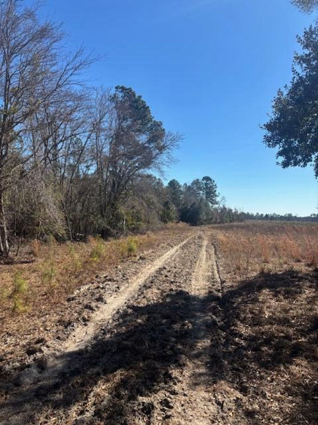 Photo of 0 Starfish Lane, Lyons, GA 30436 (MLS # 551648)