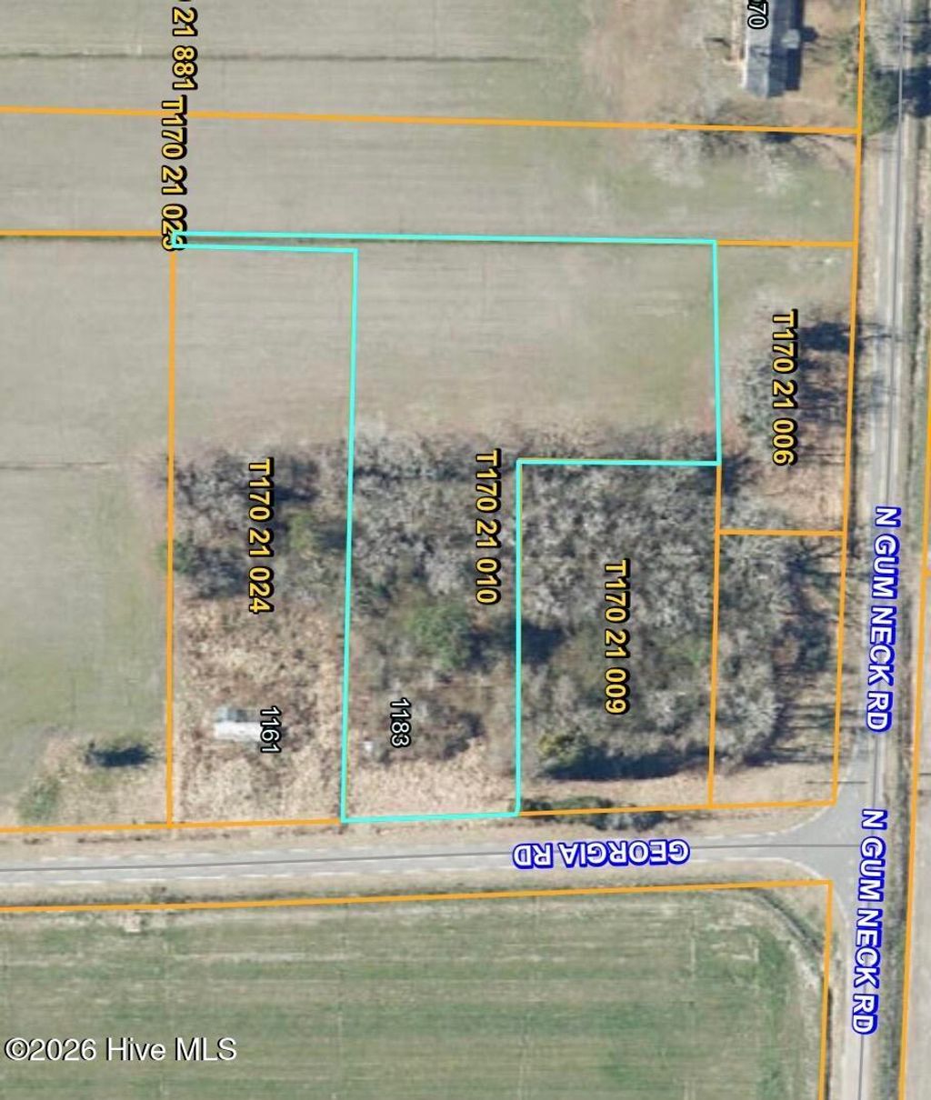 Photo of 1183 Georgia Road, Columbia, NC 27925 (MLS # 100567129)