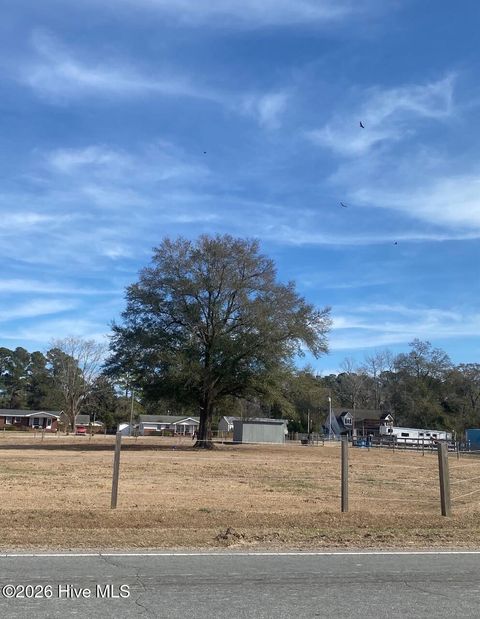 Photo of 6205 Blossom Street, Castle Hayne, NC 28429 (MLS # 100554966)