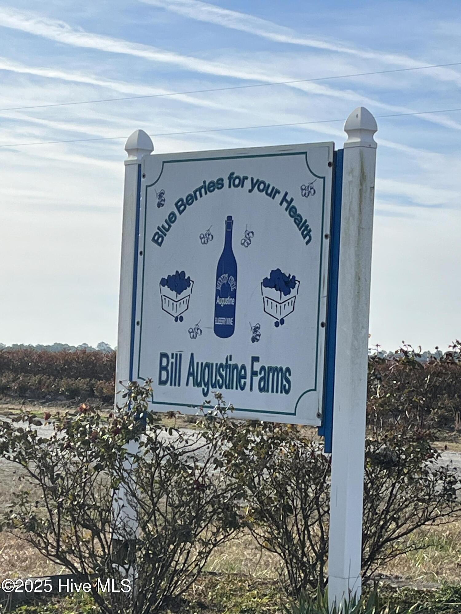 213 Wilbur Pridgen Road