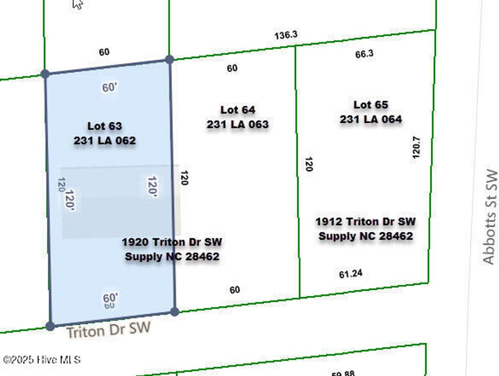 Photo of 19121920 Triton Drive SW, Supply, NC 28462 (MLS # 100524272)