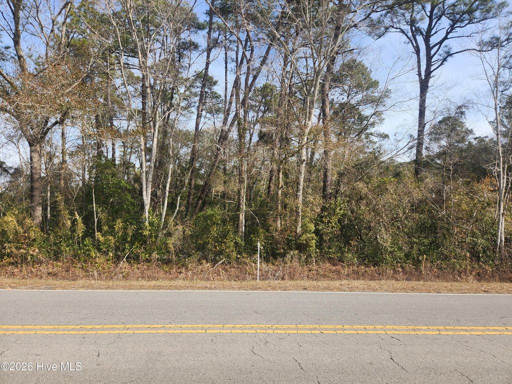 Photo of 9 Colon Mintz Road, Leland, NC 28451 (MLS # 100552772)