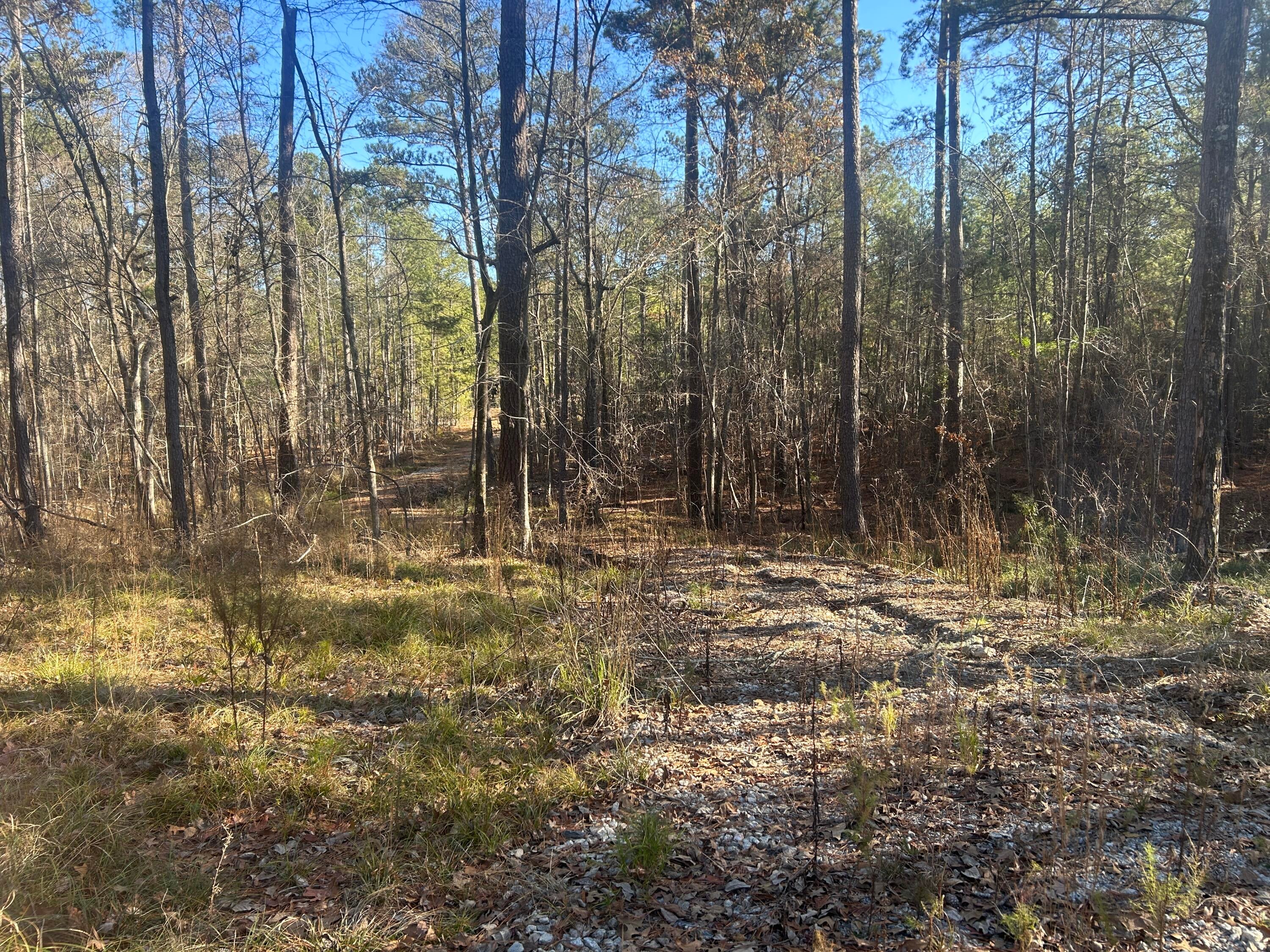 9.01 Ac Hwy 220 E