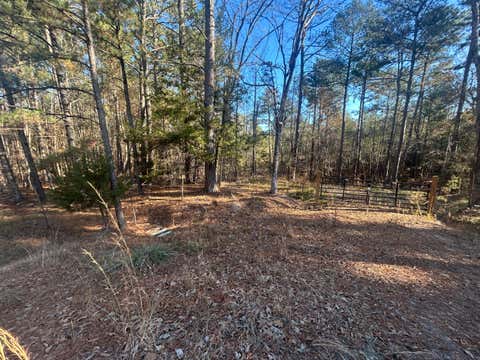 Vacant Land For Sale - 9.01 AC Hwy 220 E<br/> Lincolnton, GA 30817