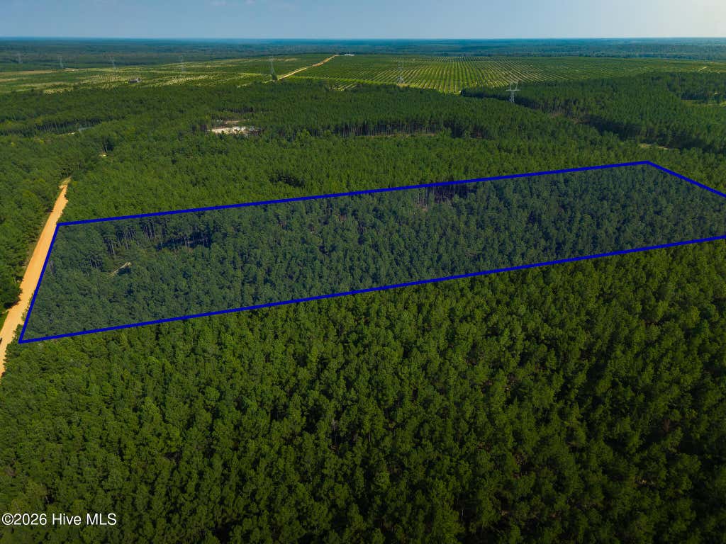 Photo of 3229 Keysville-Boggs Academy Road, Keysville, GA 30816 (MLS # 100593606)