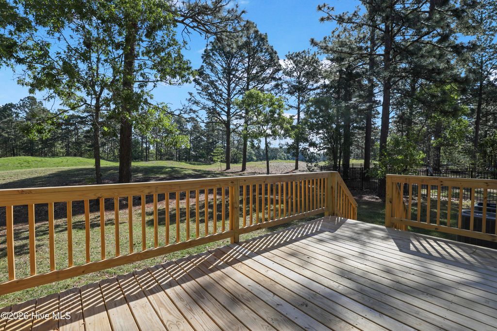 Photo of 716 Bald Eagle Drive, Vass, NC 28394 (MLS # 100571838)