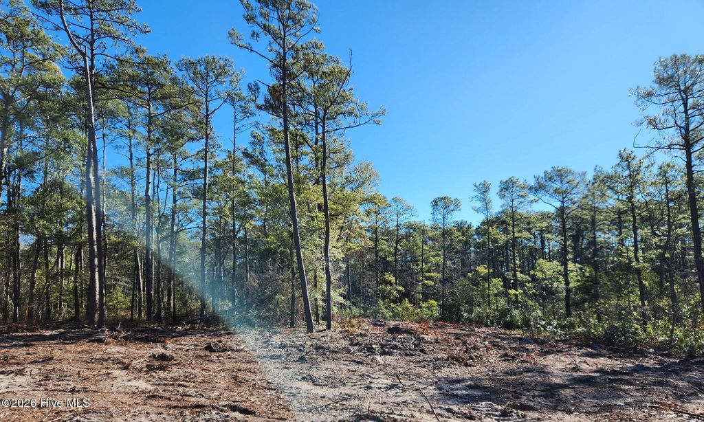 Photo of 134 Coral Gull Street, Southport, NC 28461 (MLS # 100550298)