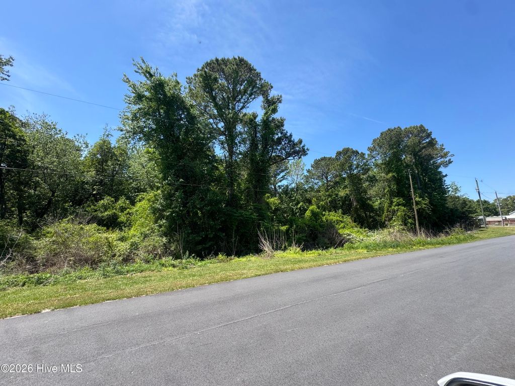 Photo of 308 Borroughs Road, Holly Ridge, NC 28445 (MLS # 100570637)