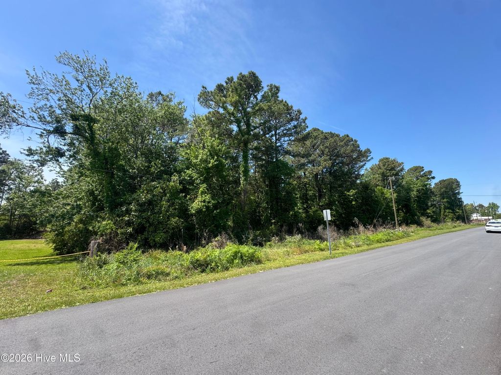 Photo of 308 Borroughs Road, Holly Ridge, NC 28445 (MLS # 100570637)