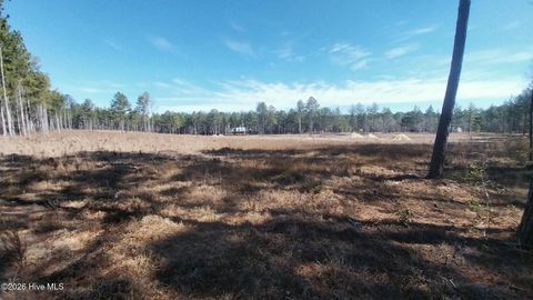 Vacant Land For Sale - 349 Lally Circle<br/> Hoke County, Aberdeen, NC 28315