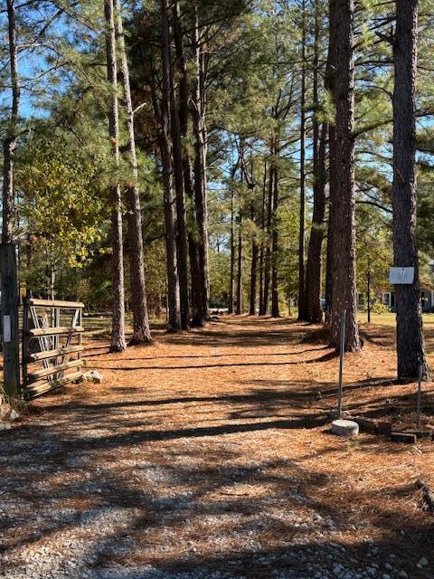 131 Marks Walden Rd Road