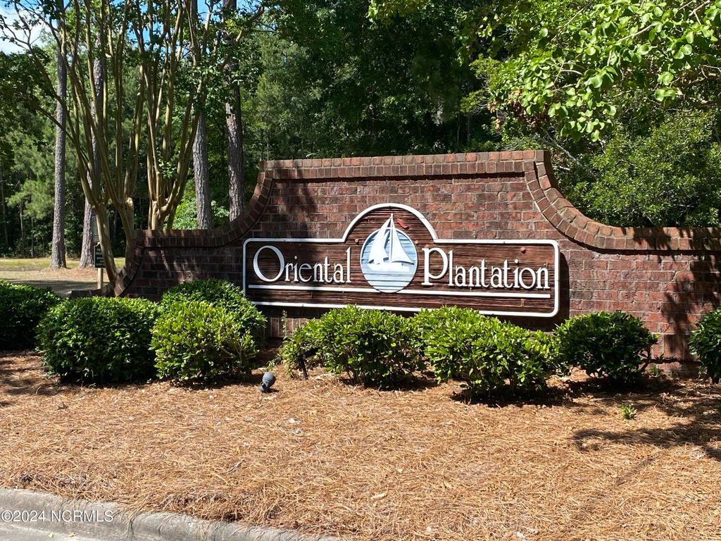 Photo of 281 Winding Creek Drive, Oriental, NC 28571 (MLS # 100451394)