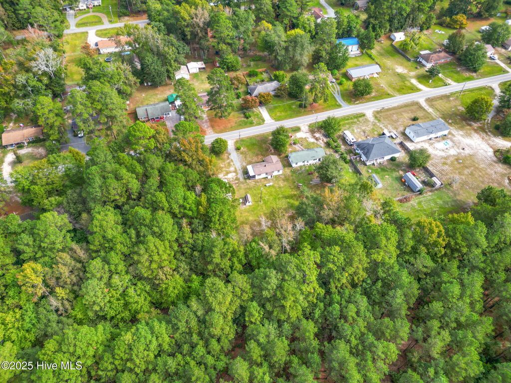 Photo of 21480 Jane Shaw Road, Wagram, NC 28396 (MLS # 100534935)