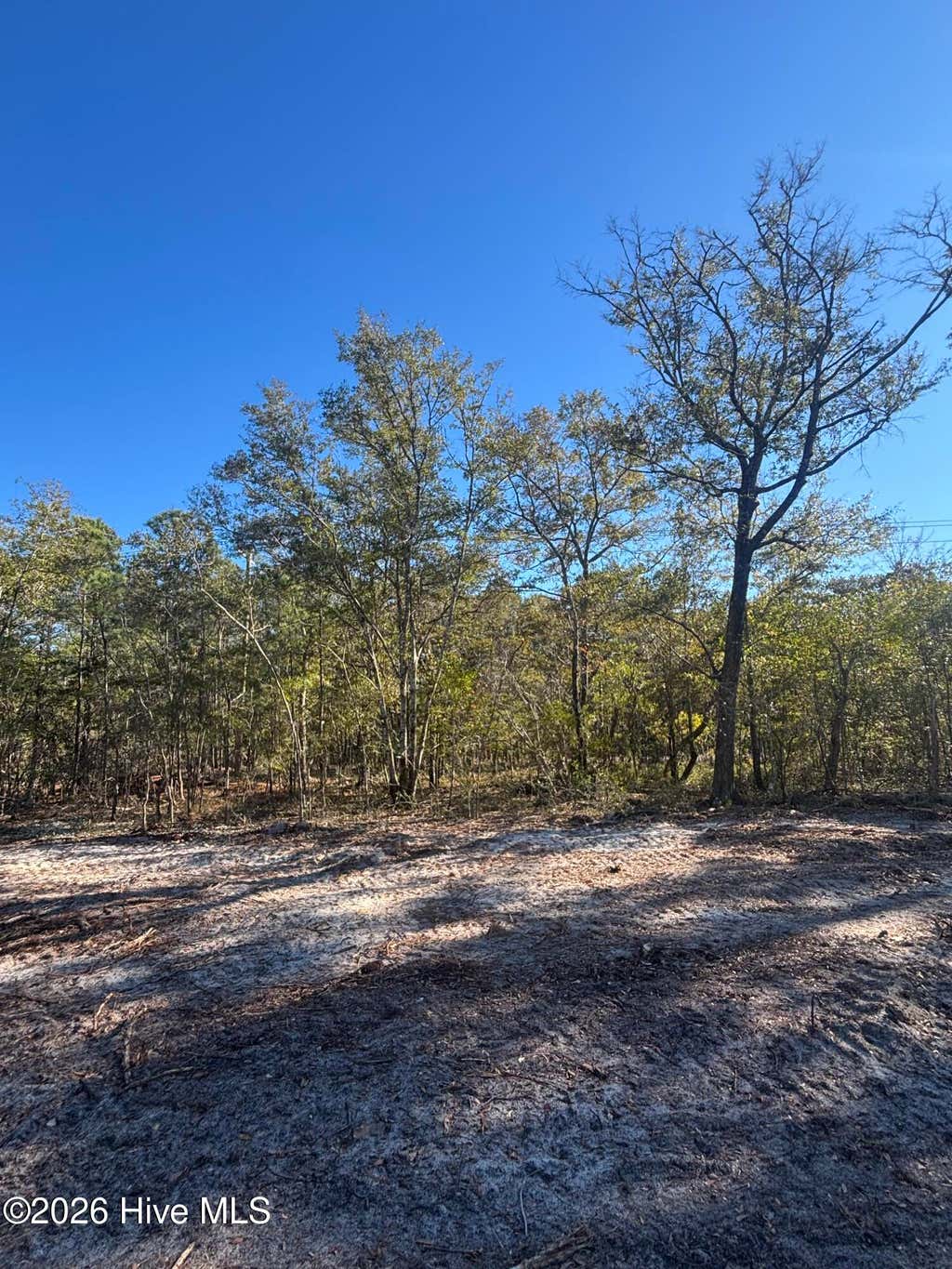 Photo of 121 Coral Gull Street, Southport, NC 28461 (MLS # 100596465)