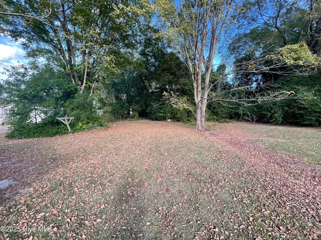 Photo of 416 Catherine Street, Hertford, NC 27944 (MLS # 100608262)