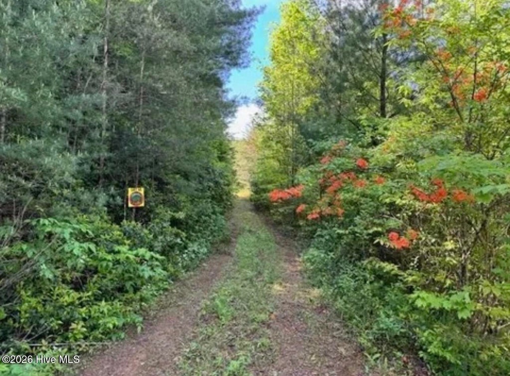 Photo of 14 Tyler Lane, Marble, NC 28905 (MLS # 100611410)