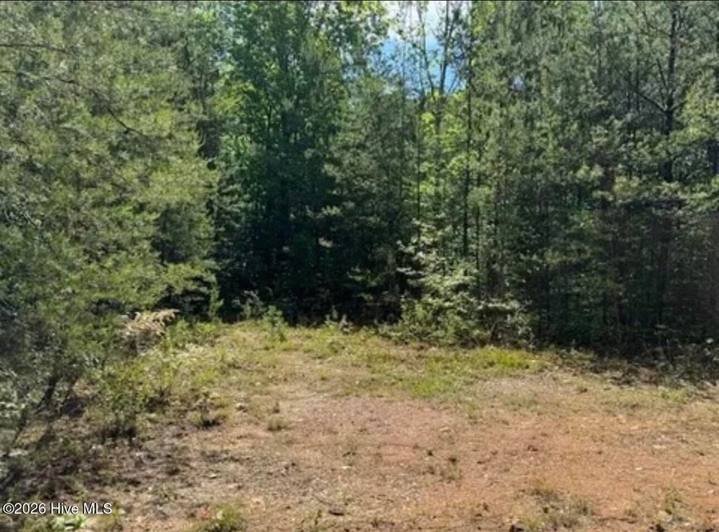 Photo of 14 Tyler Lane, Marble, NC 28905 (MLS # 100611410)