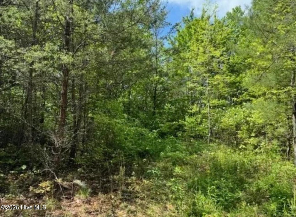 Photo of 14 Tyler Lane, Marble, NC 28905 (MLS # 100611410)